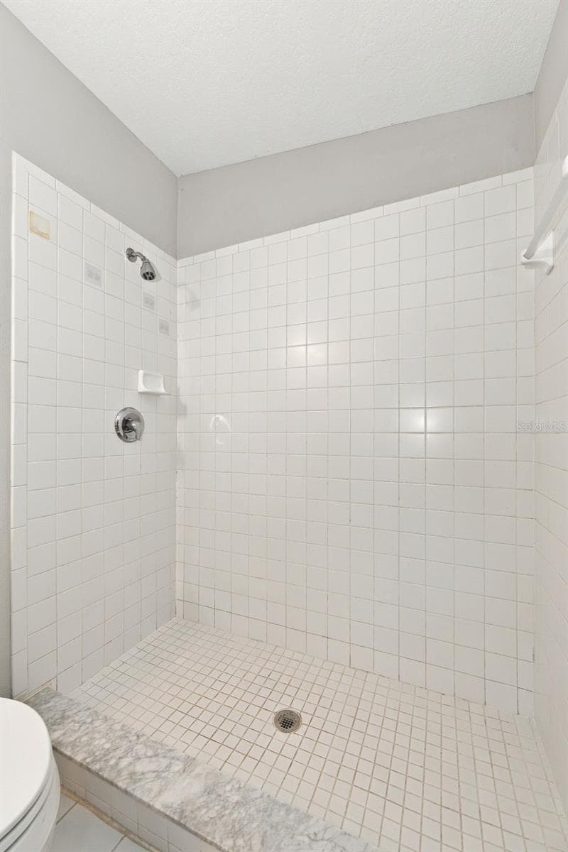 Walk-In Shower - 10313 WILLOW LEAF TRL, TAMPA