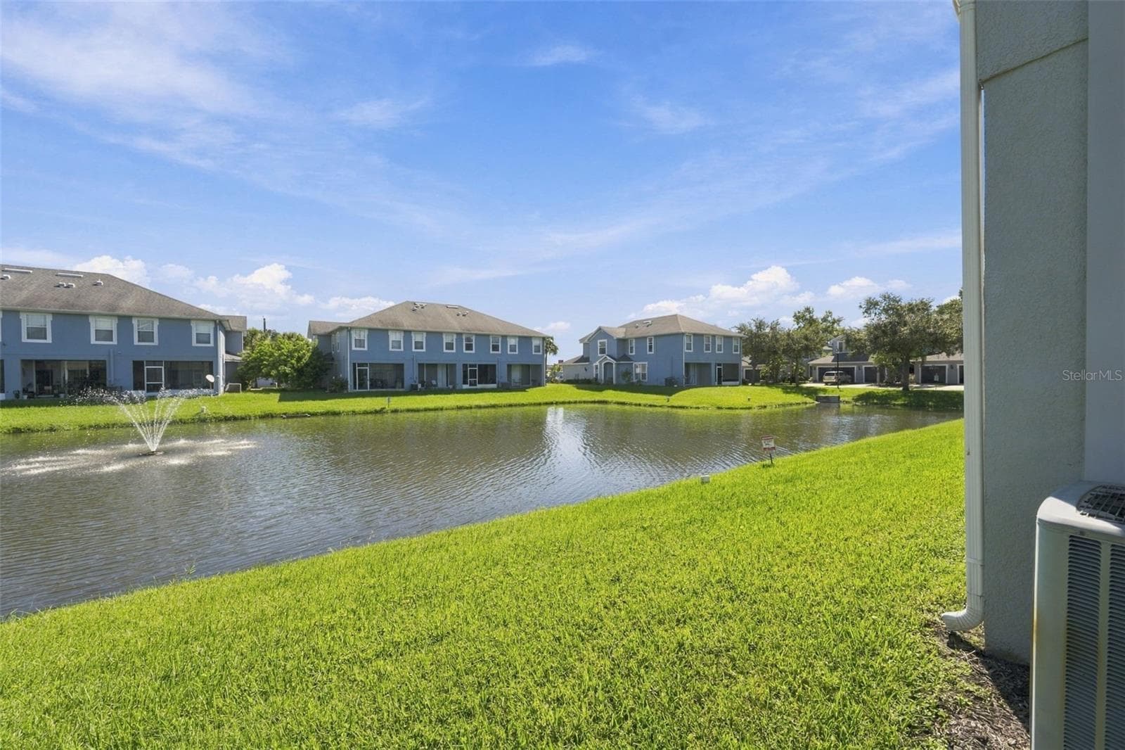 View of Backyard - 10313 WILLOW LEAF TRL, TAMPA