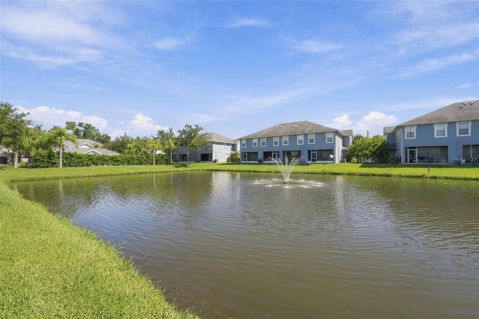 View of Backyard - 10313 WILLOW LEAF TRL, TAMPA