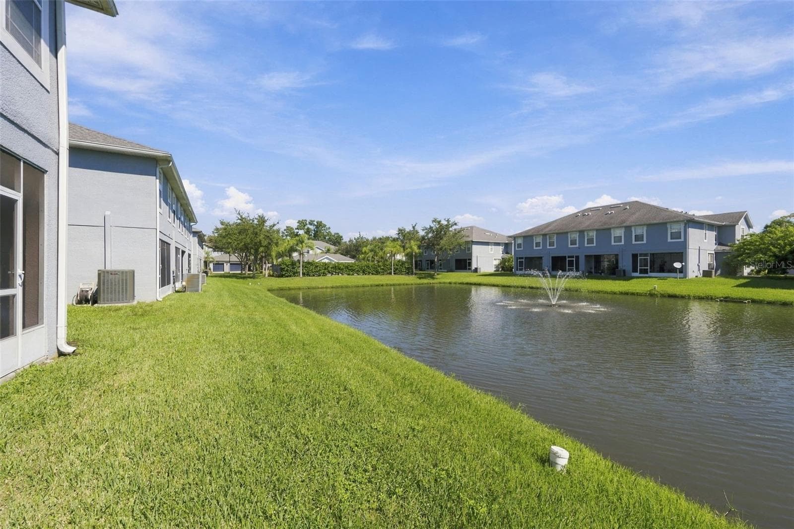 View of Backyard - 10313 WILLOW LEAF TRL, TAMPA