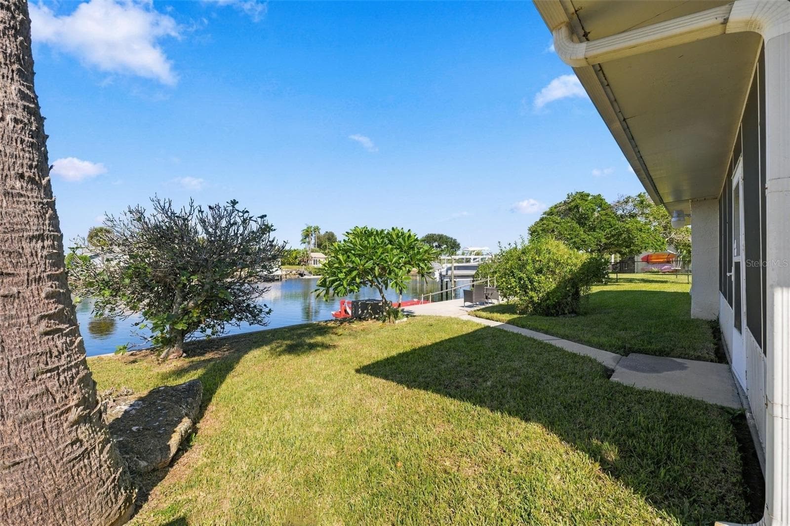 Myer lemon & Fit trees for your pleasure & enjoyment. - 5513 BOWLINE BND, NEW PORT RICHEY