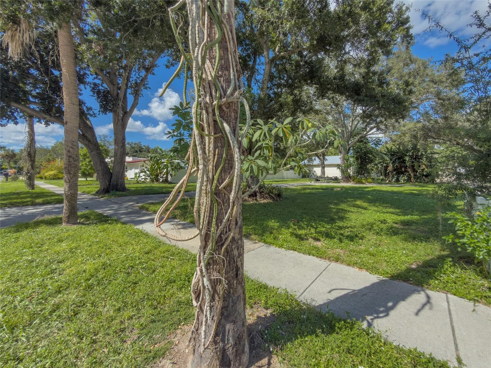 Land at 1706 4TH ST W, PALMETTO, photo 9 of 16
