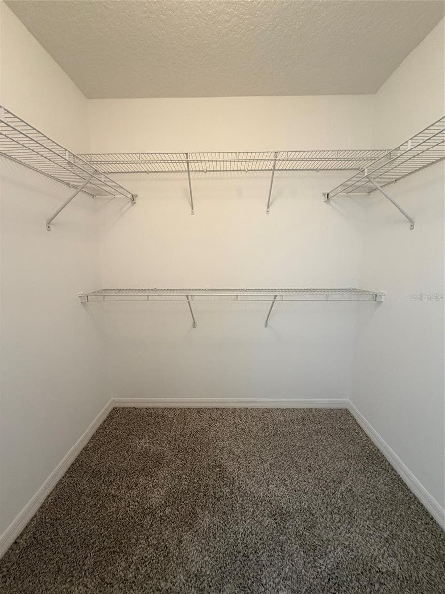 Master Bedroom Walk in Closet 2 - 247 BLAKE AVE, DAVENPORT