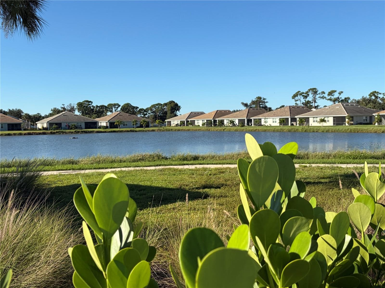 Single Family Residence at 446 IBIZA LOOP, VENICE, photo 70 of 77