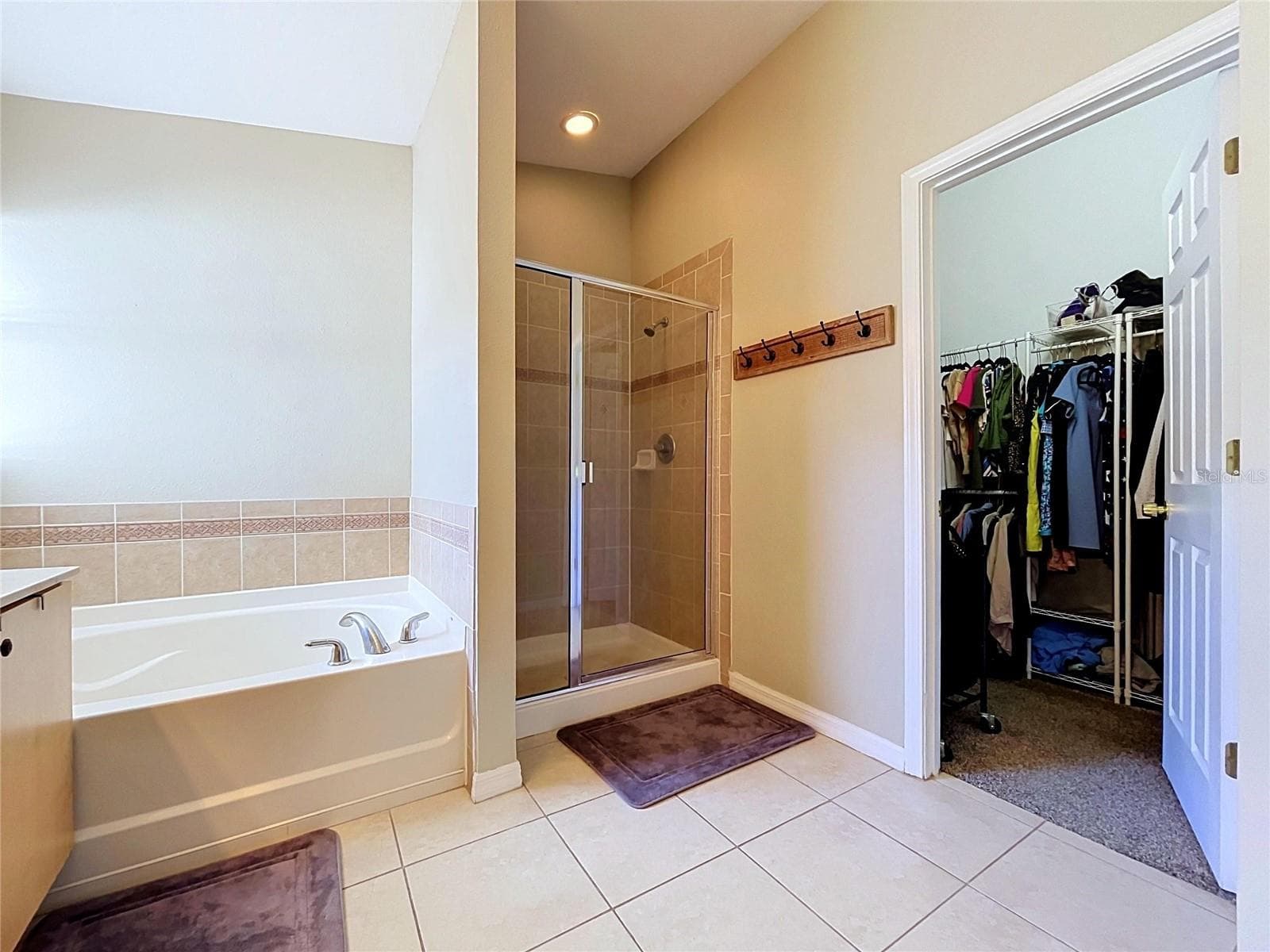 Single Family Residence at 11607 MOUNTAIN BAY DR, RIVERVIEW, photo 33 of 97