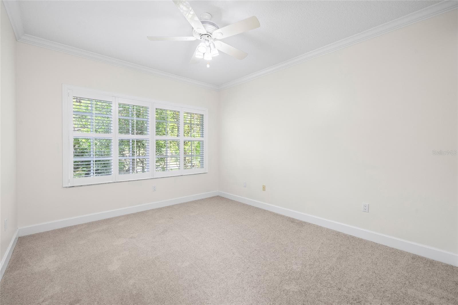 Single Family Residence at 12009 BREWSTER DR, TAMPA, photo 38 of 61