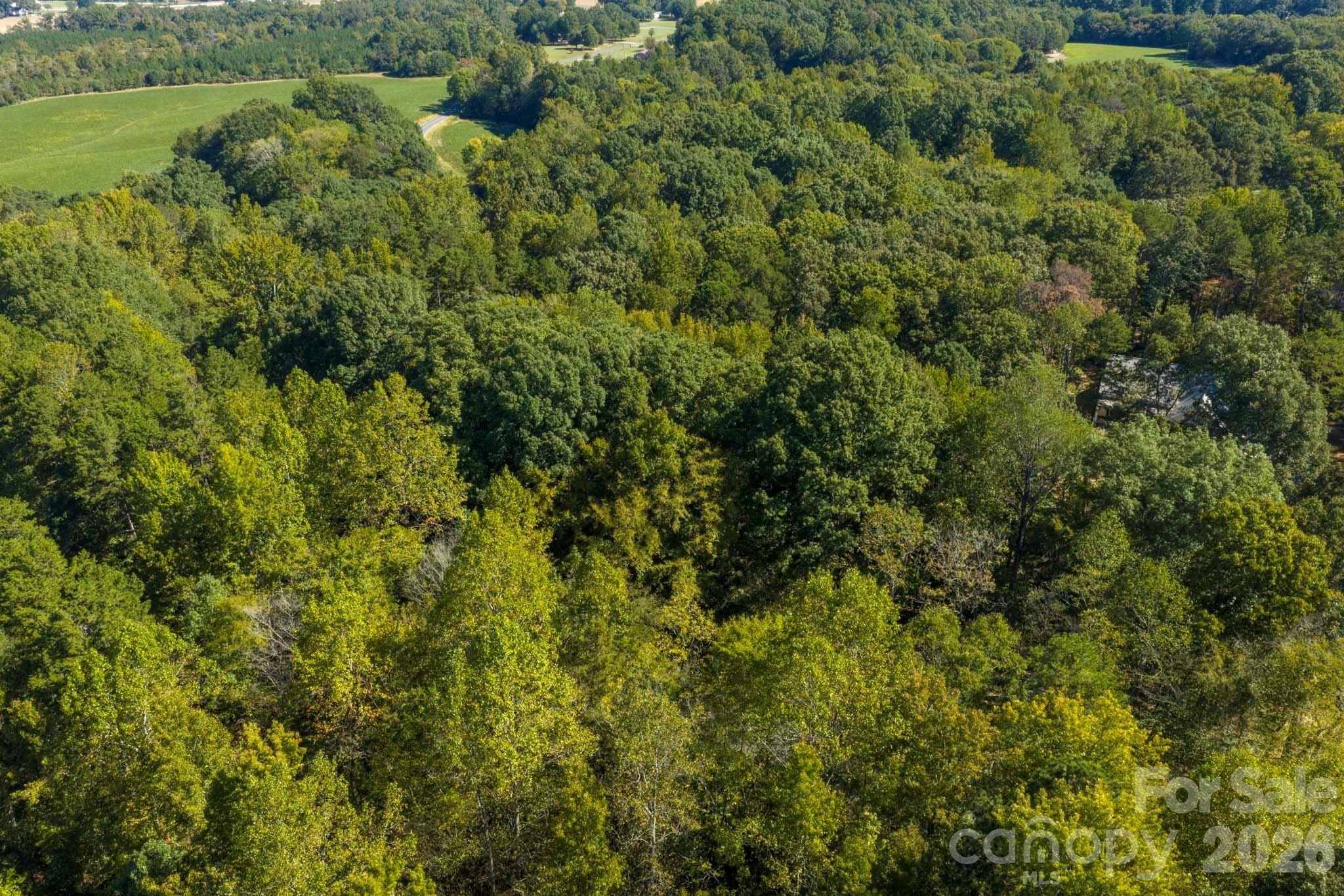 Lot at 0000 Trull Hinson Road, Wingate, photo 2 of 27