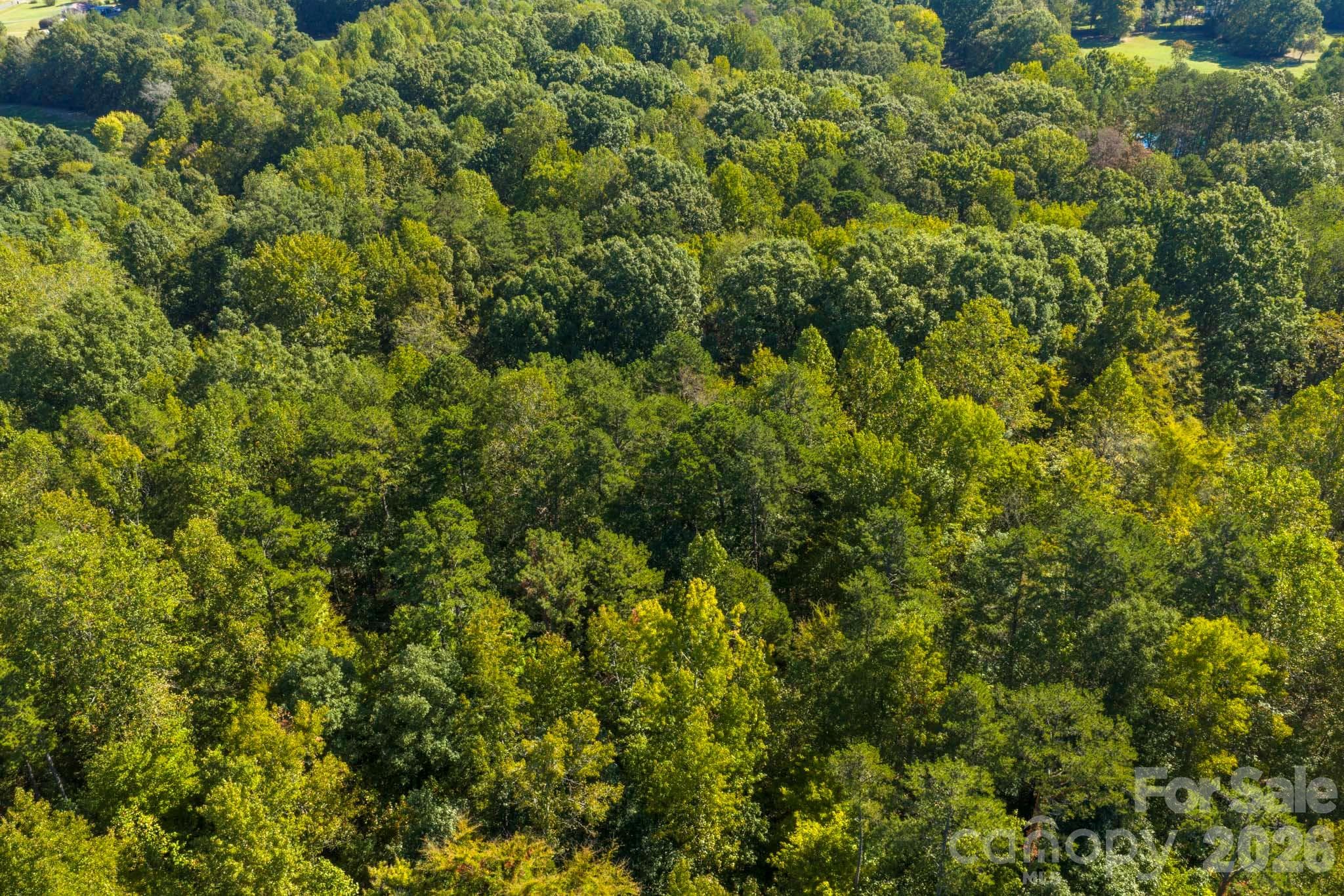 Lot at 0000 Trull Hinson Road, Wingate, photo 3 of 27