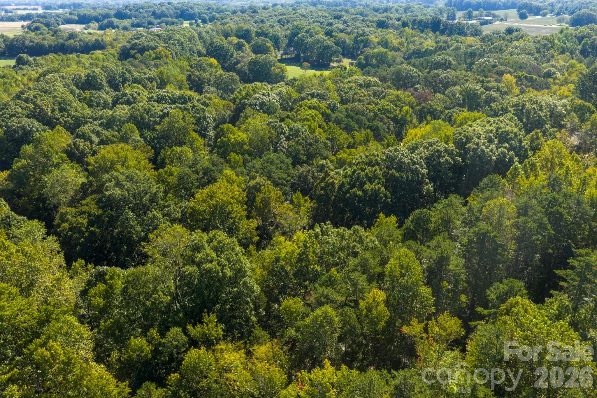 Lot at 0000 Trull Hinson Road, Wingate, photo 4 of 27