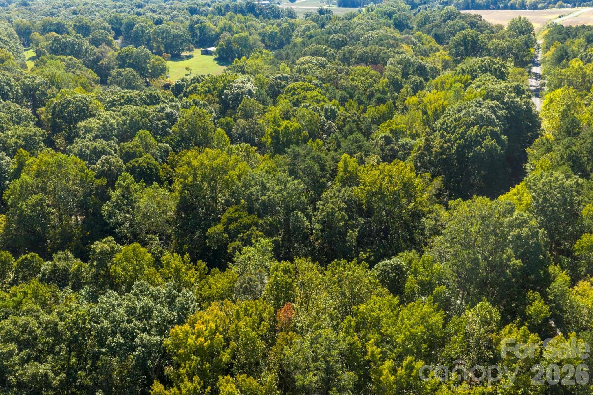 Lot at 0000 Trull Hinson Road, Wingate, photo 5 of 27