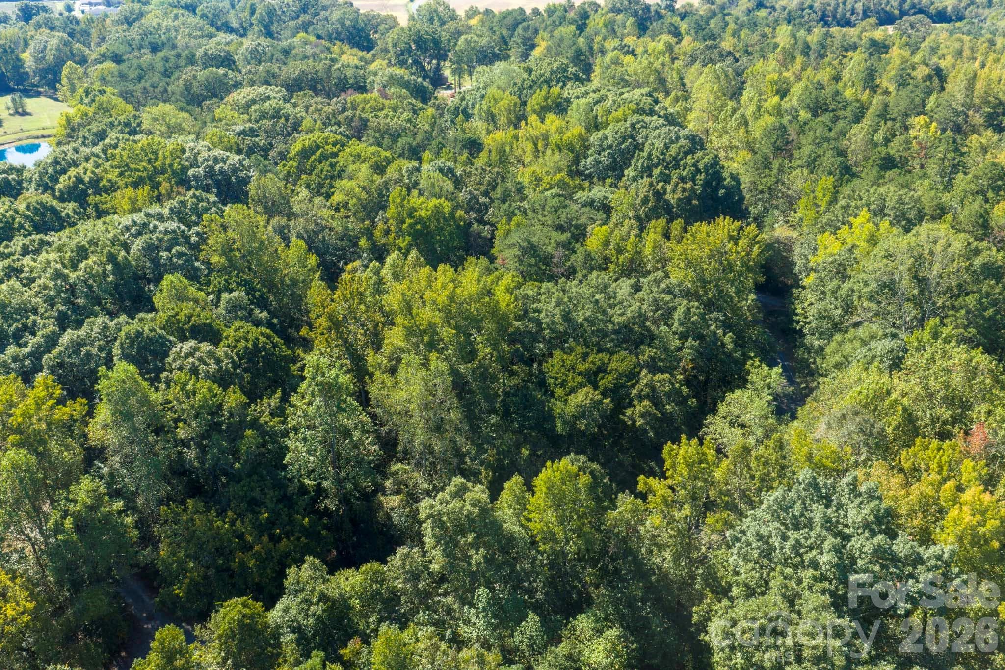 Lot at 0000 Trull Hinson Road, Wingate, photo 6 of 27