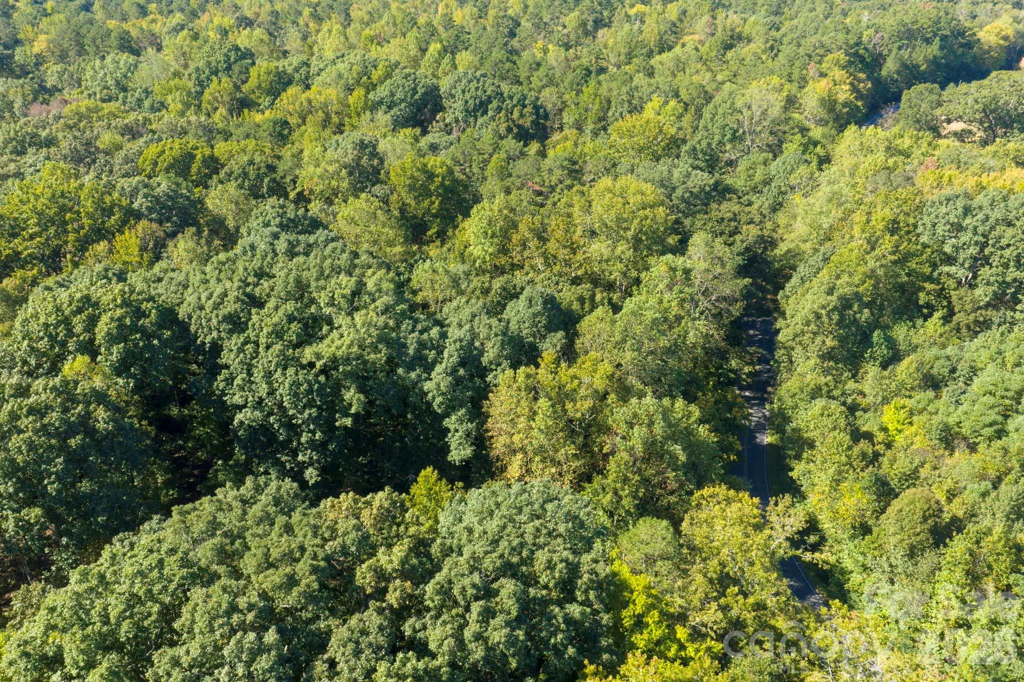 Lot at 0000 Trull Hinson Road, Wingate, photo 8 of 27