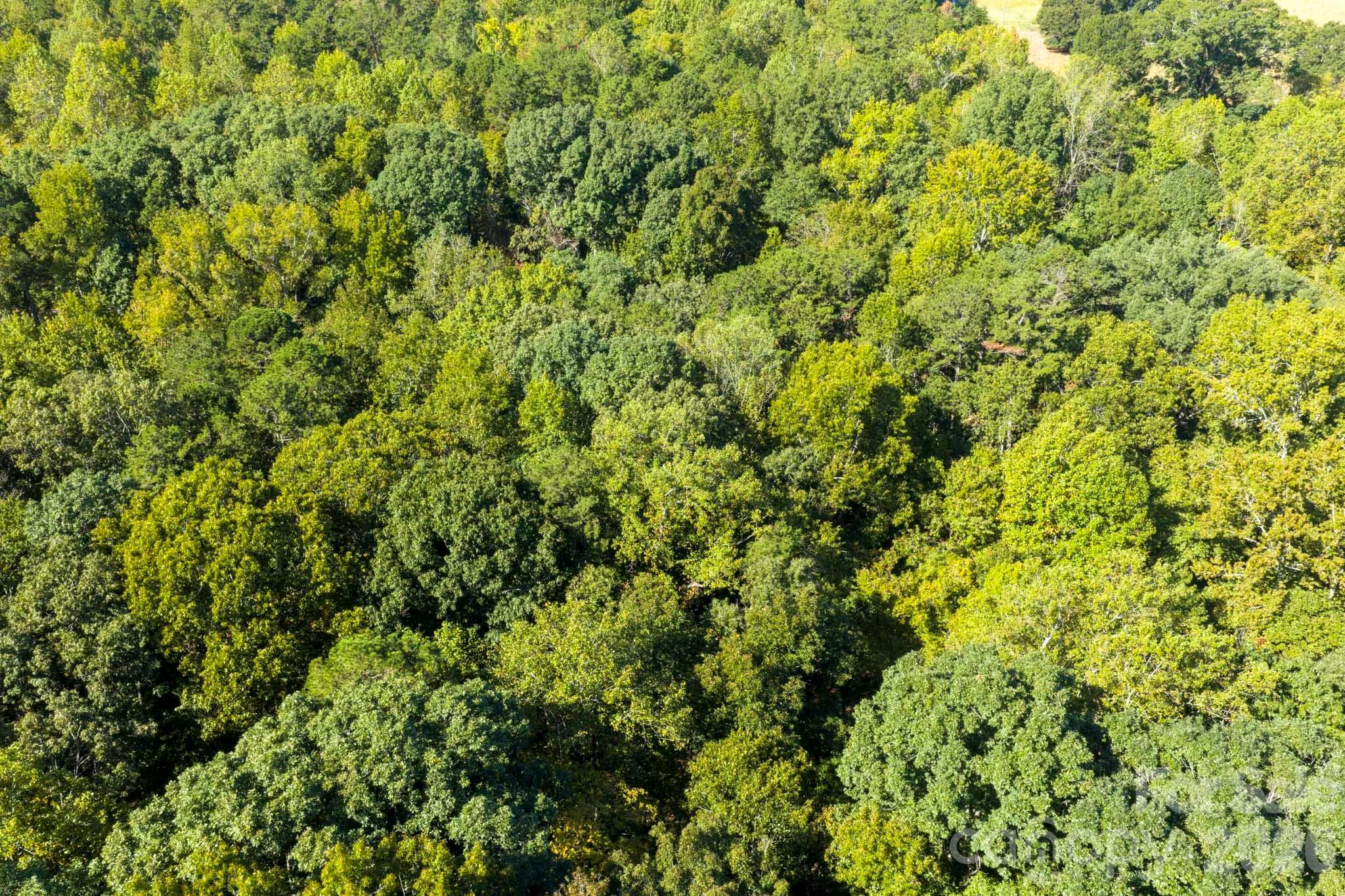 Lot at 0000 Trull Hinson Road, Wingate, photo 10 of 27