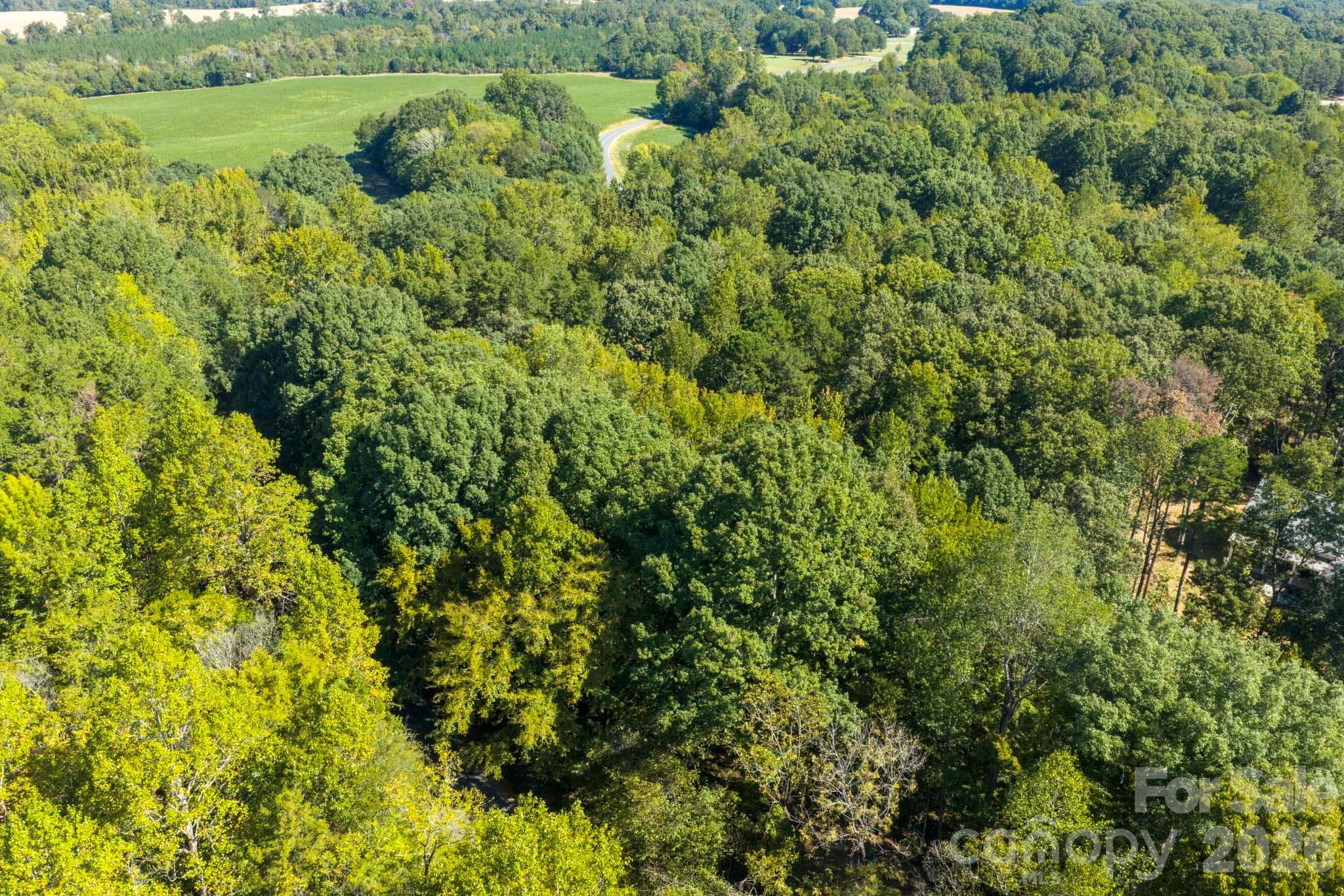 Lot at 0000 Trull Hinson Road, Wingate, photo 11 of 27