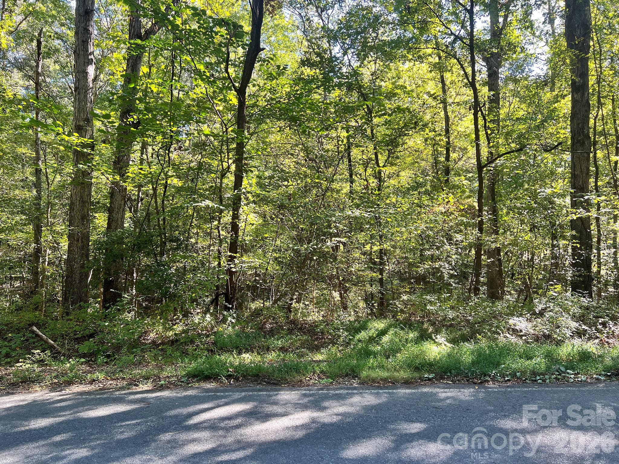 Lot at 0000 Trull Hinson Road, Wingate, photo 15 of 27
