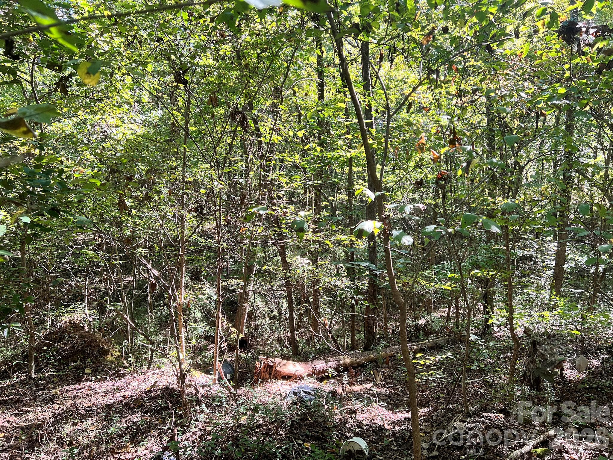Lot at 0000 Trull Hinson Road, Wingate, photo 18 of 27