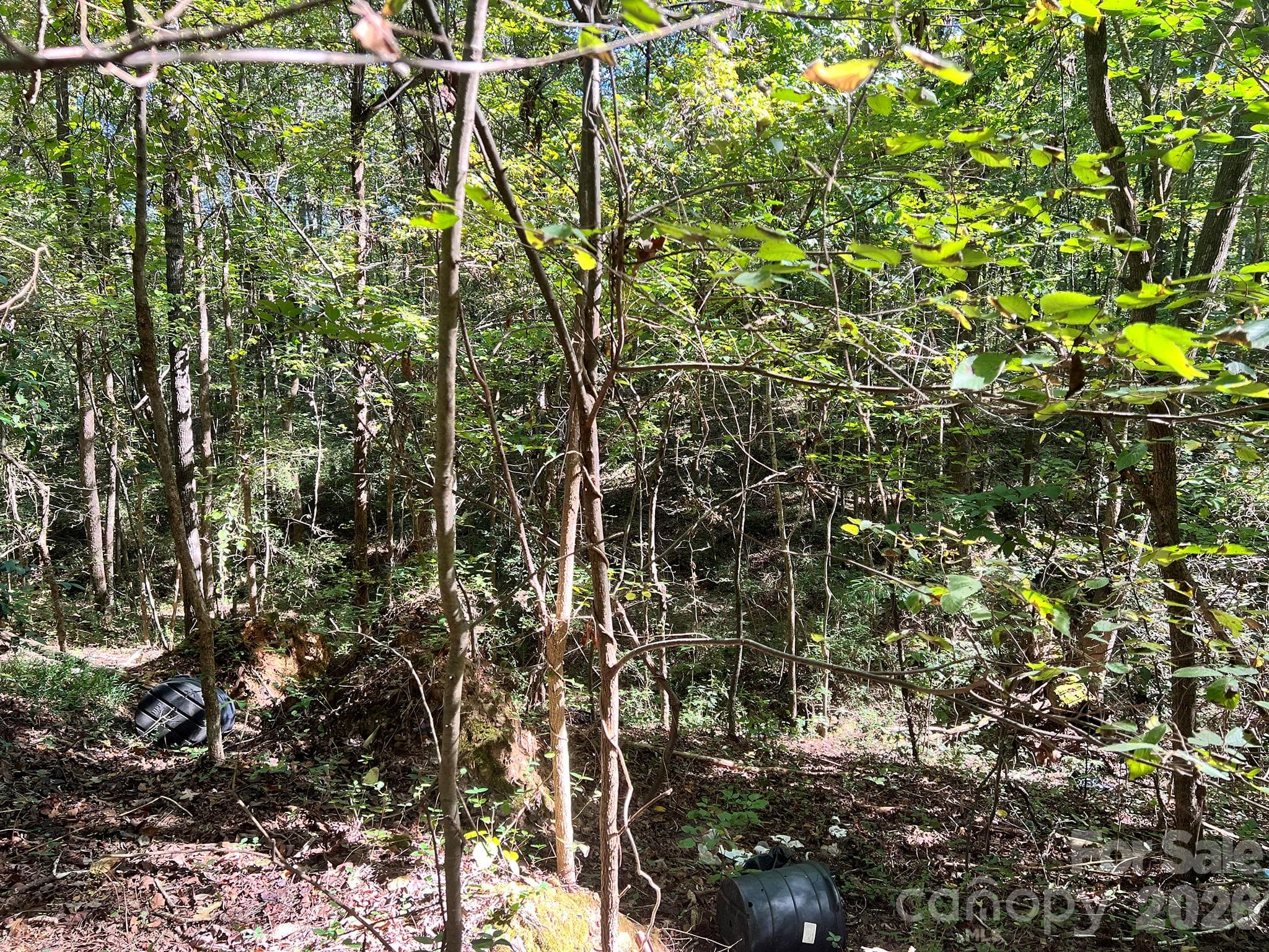 Lot at 0000 Trull Hinson Road, Wingate, photo 19 of 27