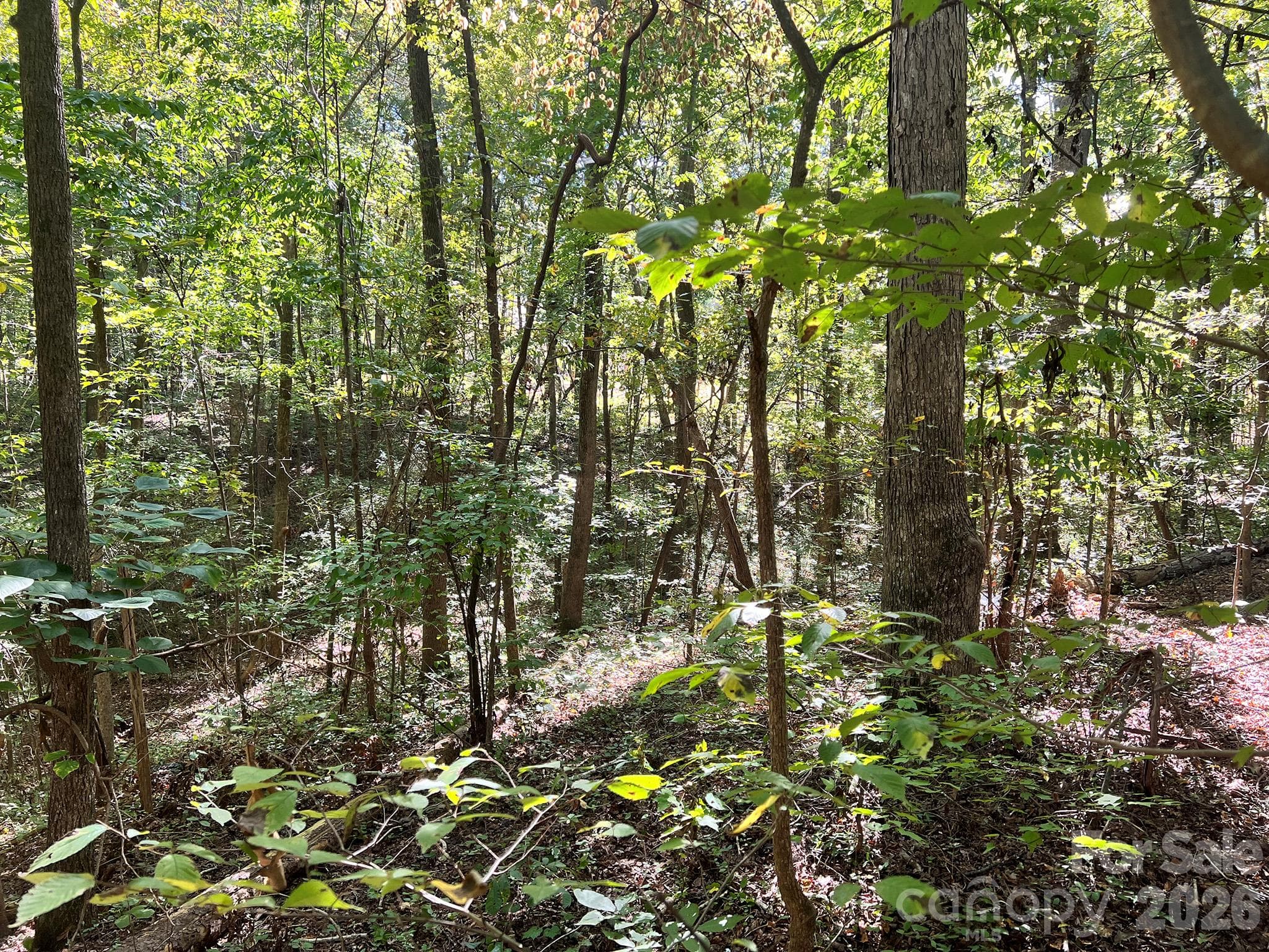 Lot at 0000 Trull Hinson Road, Wingate, photo 20 of 27