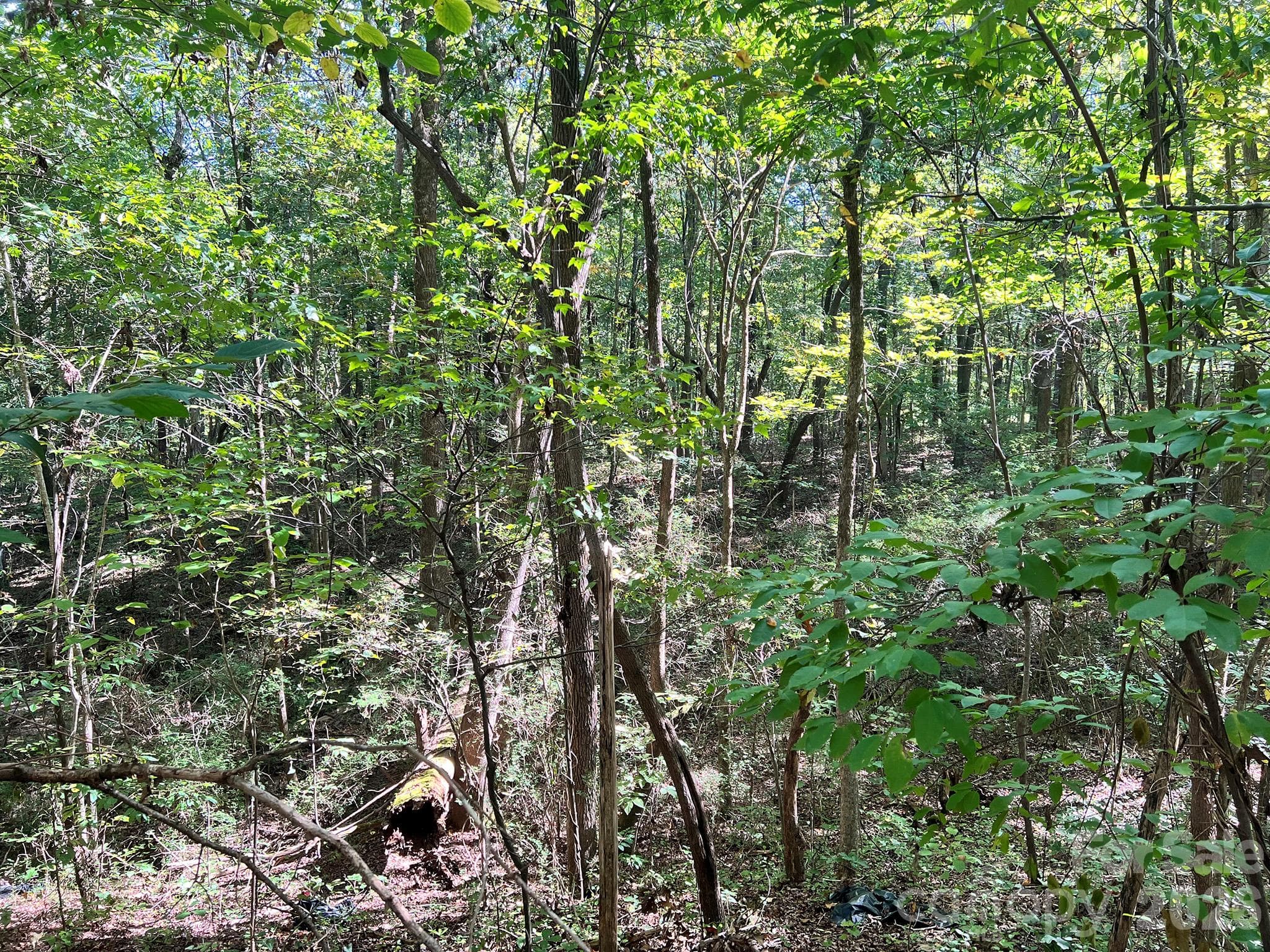 Lot at 0000 Trull Hinson Road, Wingate, photo 21 of 27
