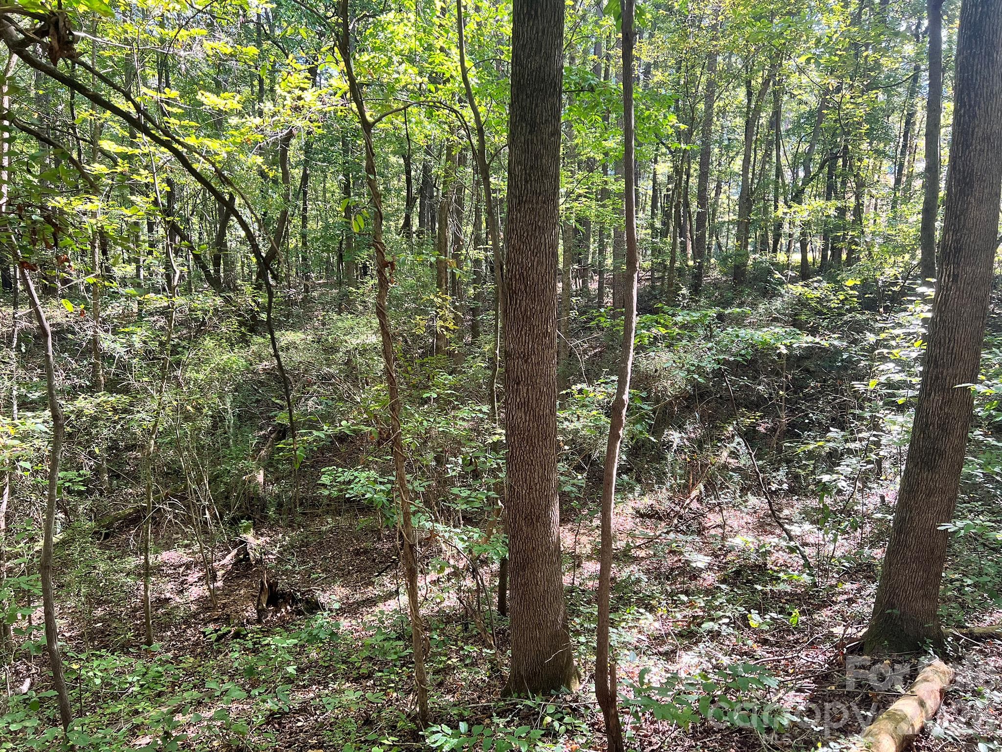 Lot at 0000 Trull Hinson Road, Wingate, photo 22 of 27