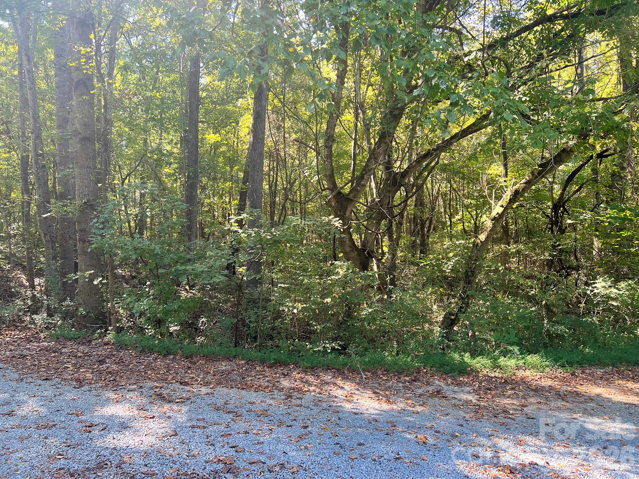 Lot at 0000 Trull Hinson Road, Wingate, photo 23 of 27