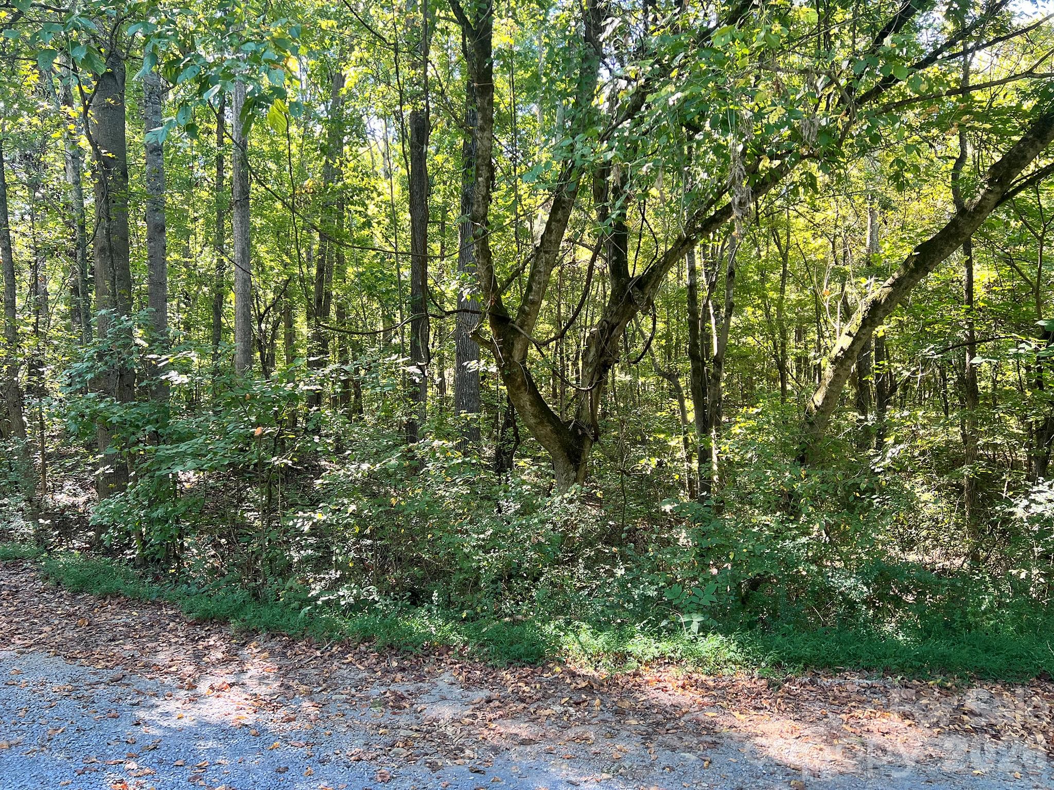 Lot at 0000 Trull Hinson Road, Wingate, photo 24 of 27
