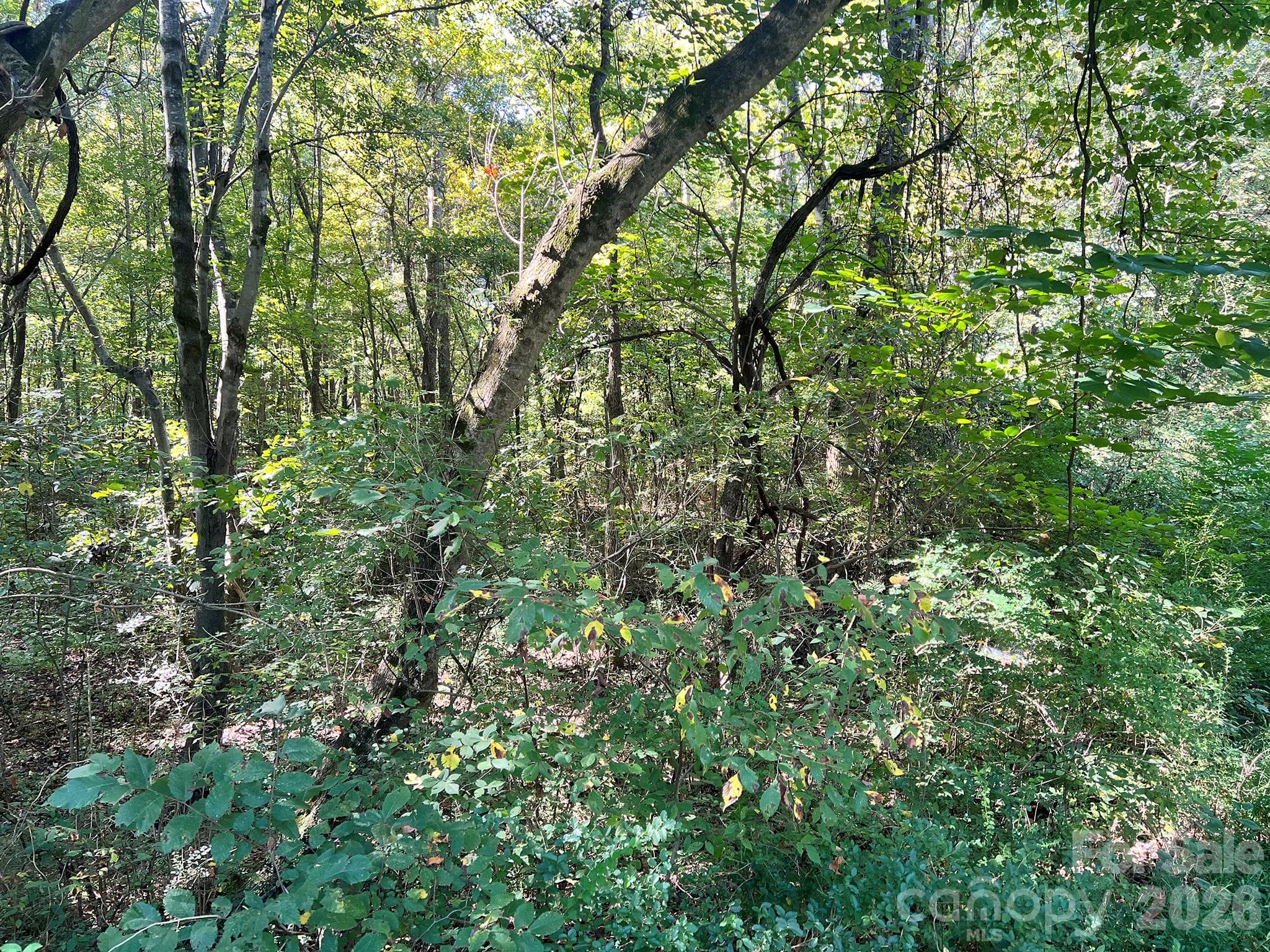 Lot at 0000 Trull Hinson Road, Wingate, photo 26 of 27