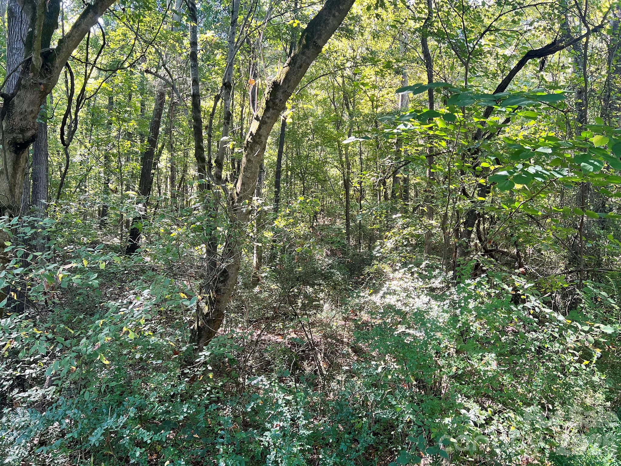 Lot at 0000 Trull Hinson Road, Wingate, photo 27 of 27