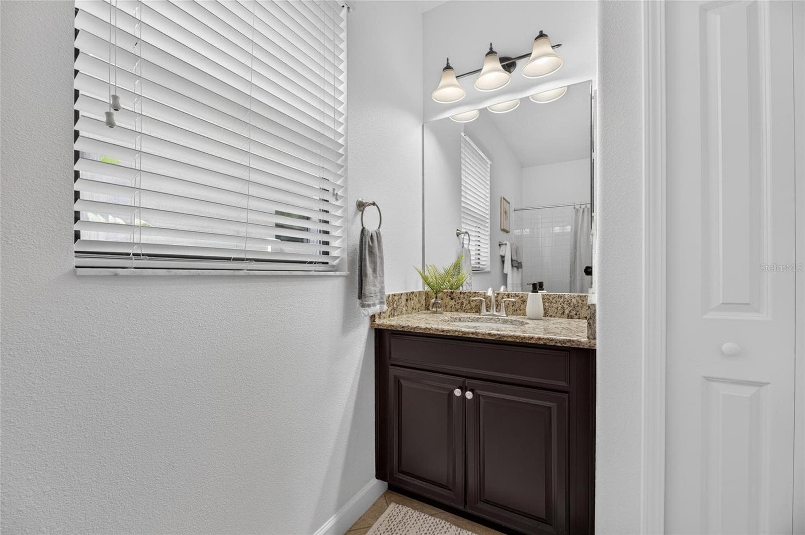 Single Family Residence at 11010 PURPLE MARTIN BLVD, RIVERVIEW, photo 33 of 98