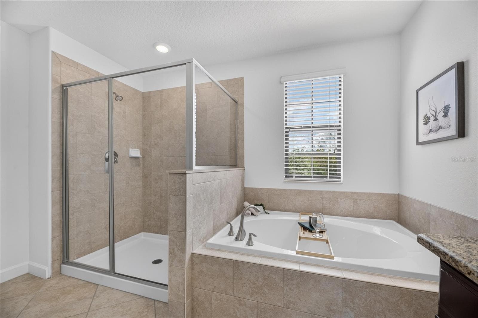 Single Family Residence at 11010 PURPLE MARTIN BLVD, RIVERVIEW, photo 64 of 98