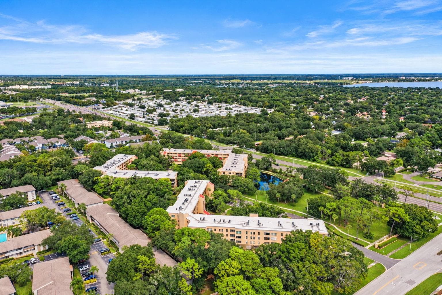 Condominium at 3062 EASTLAND BLVD #313, CLEARWATER, photo 55 of 58