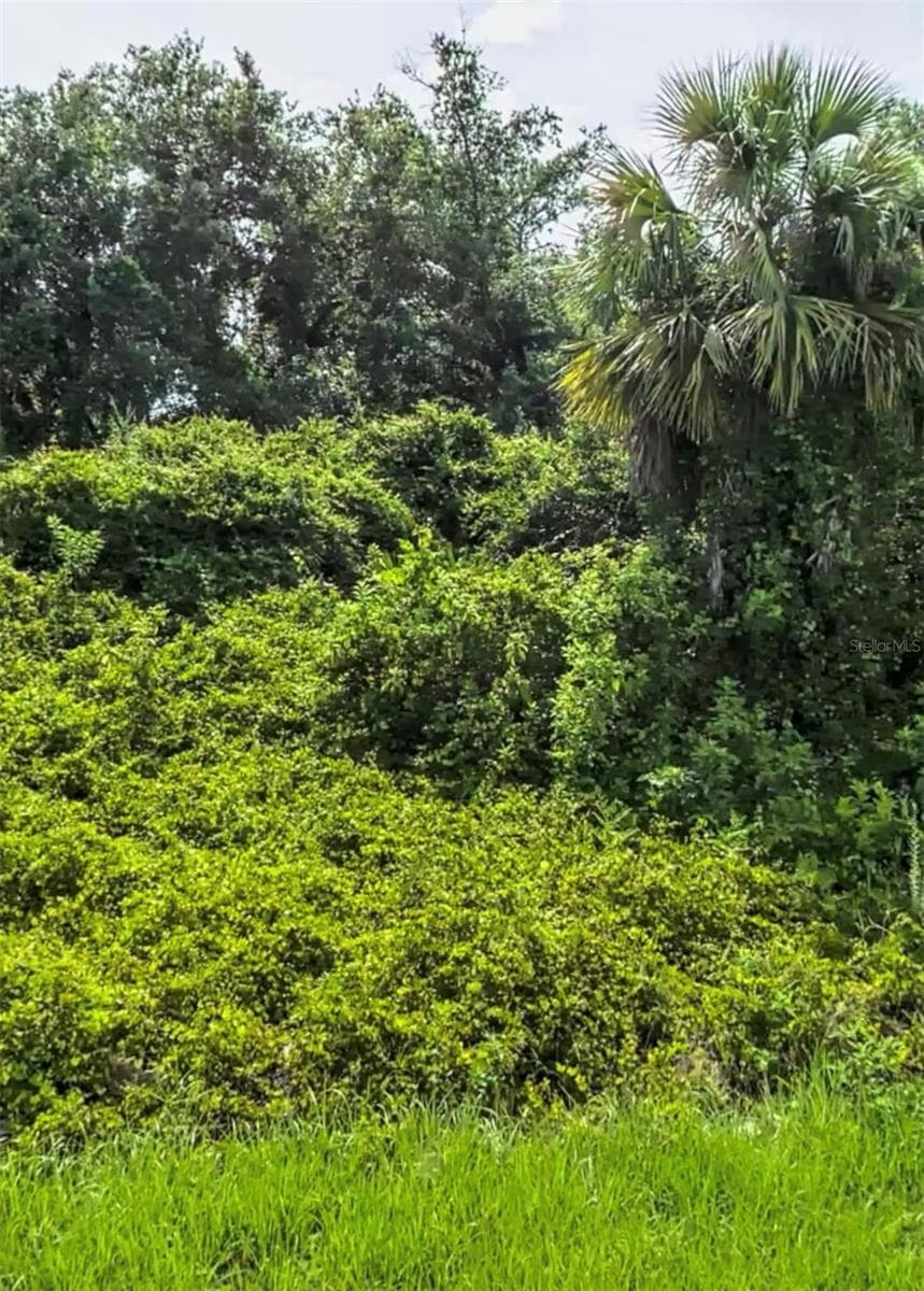 Land at RUSHMORE ST, NORTH PORT, photo 2 of 5