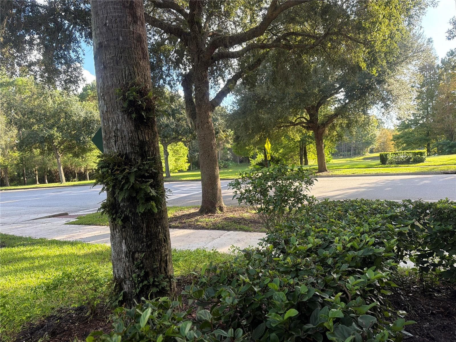 Condominium at 1401 CELEBRATION AVE #103, KISSIMMEE, photo 230 of 278