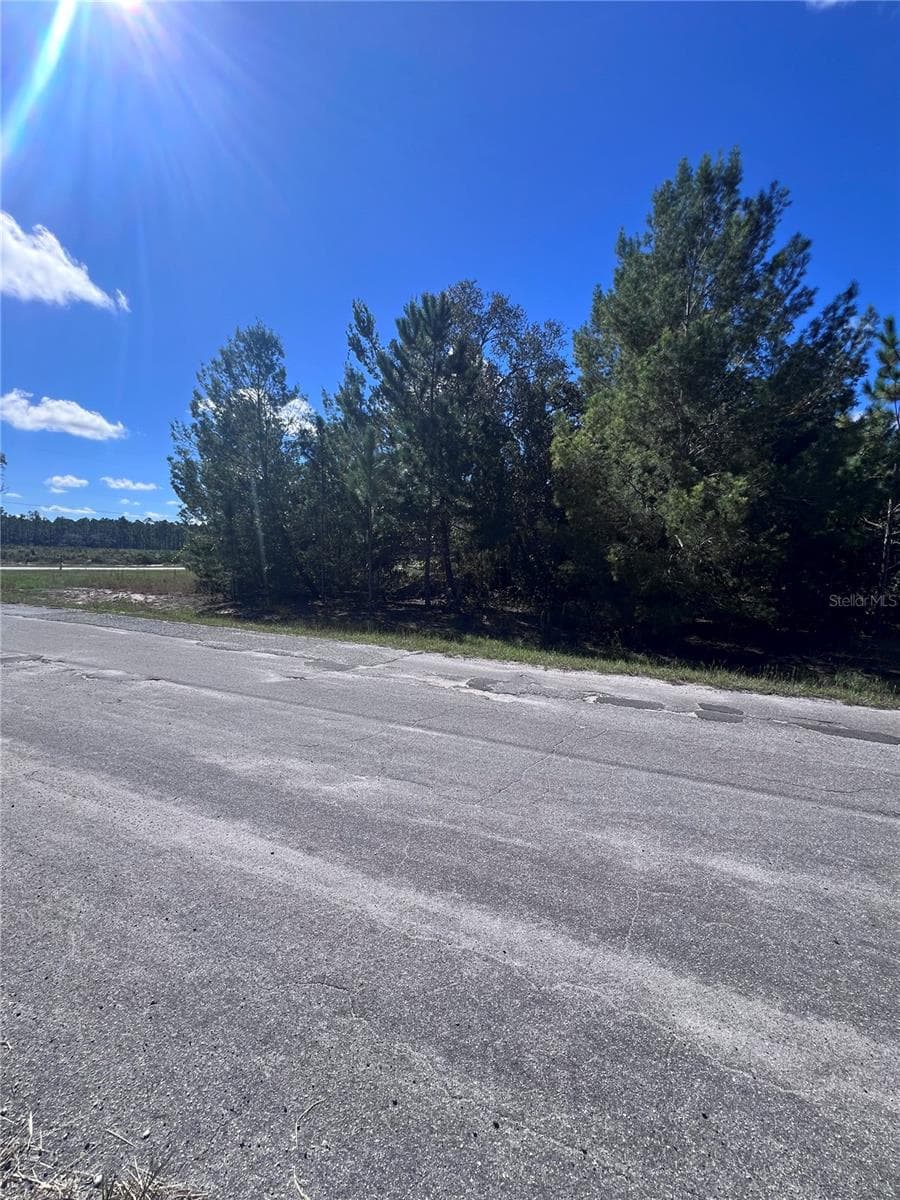 Land at FISHER TERRACE RUN, OCKLAWAHA, photo 4 of 4