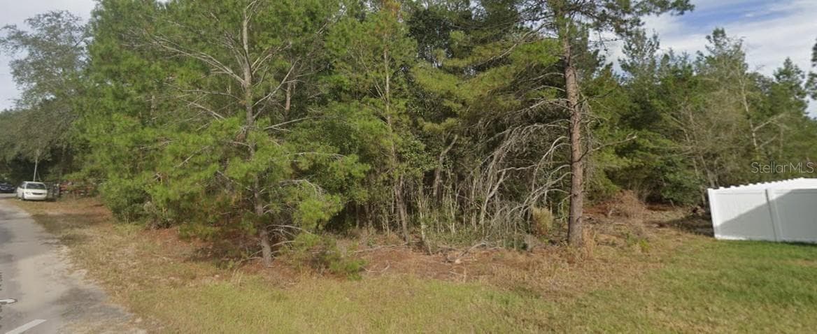 Land at FISHER WAY TRL, OCKLAWAHA, photo 4 of 5
