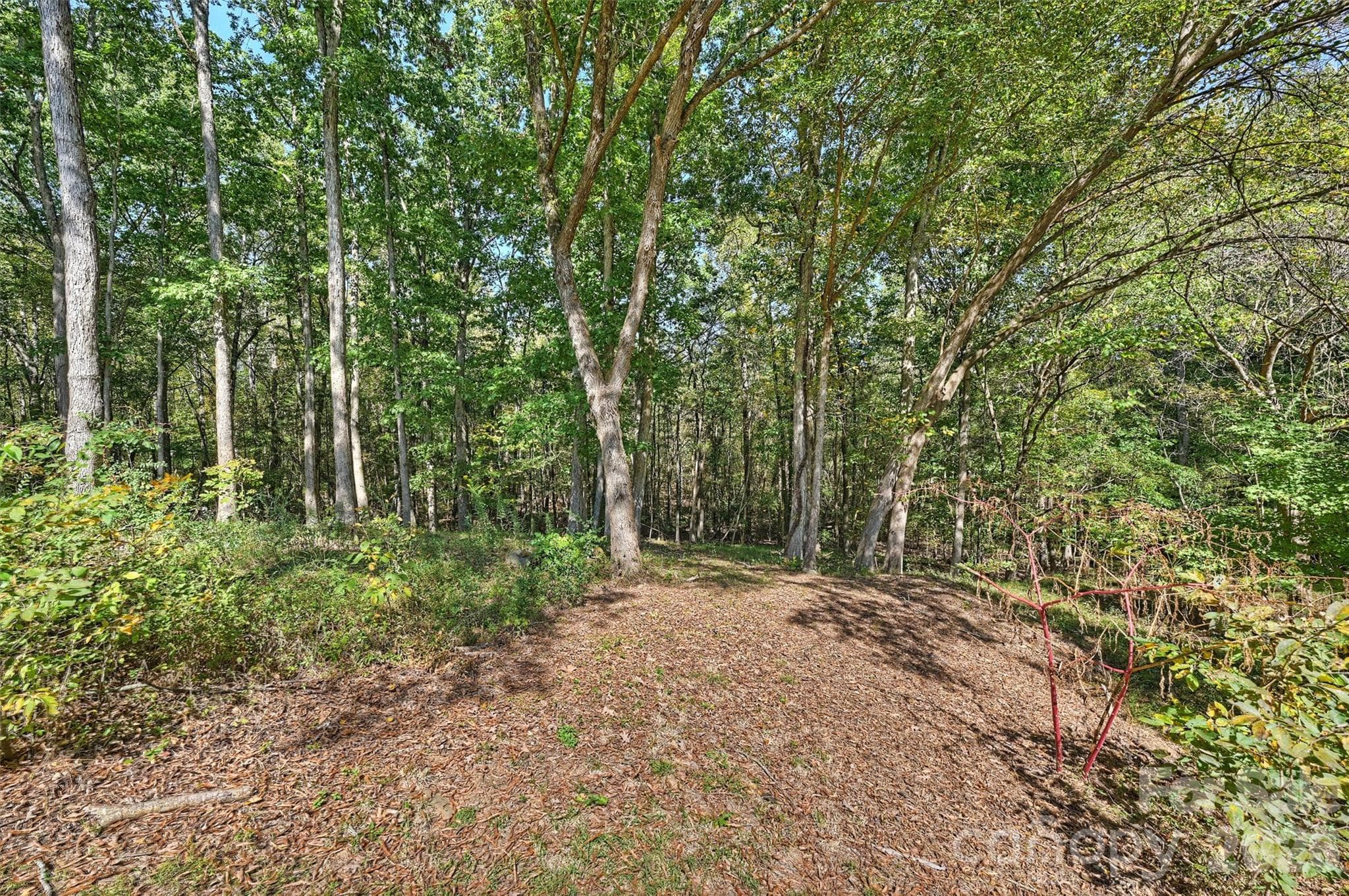 Back yard - 8708 Overcash Road, Concord