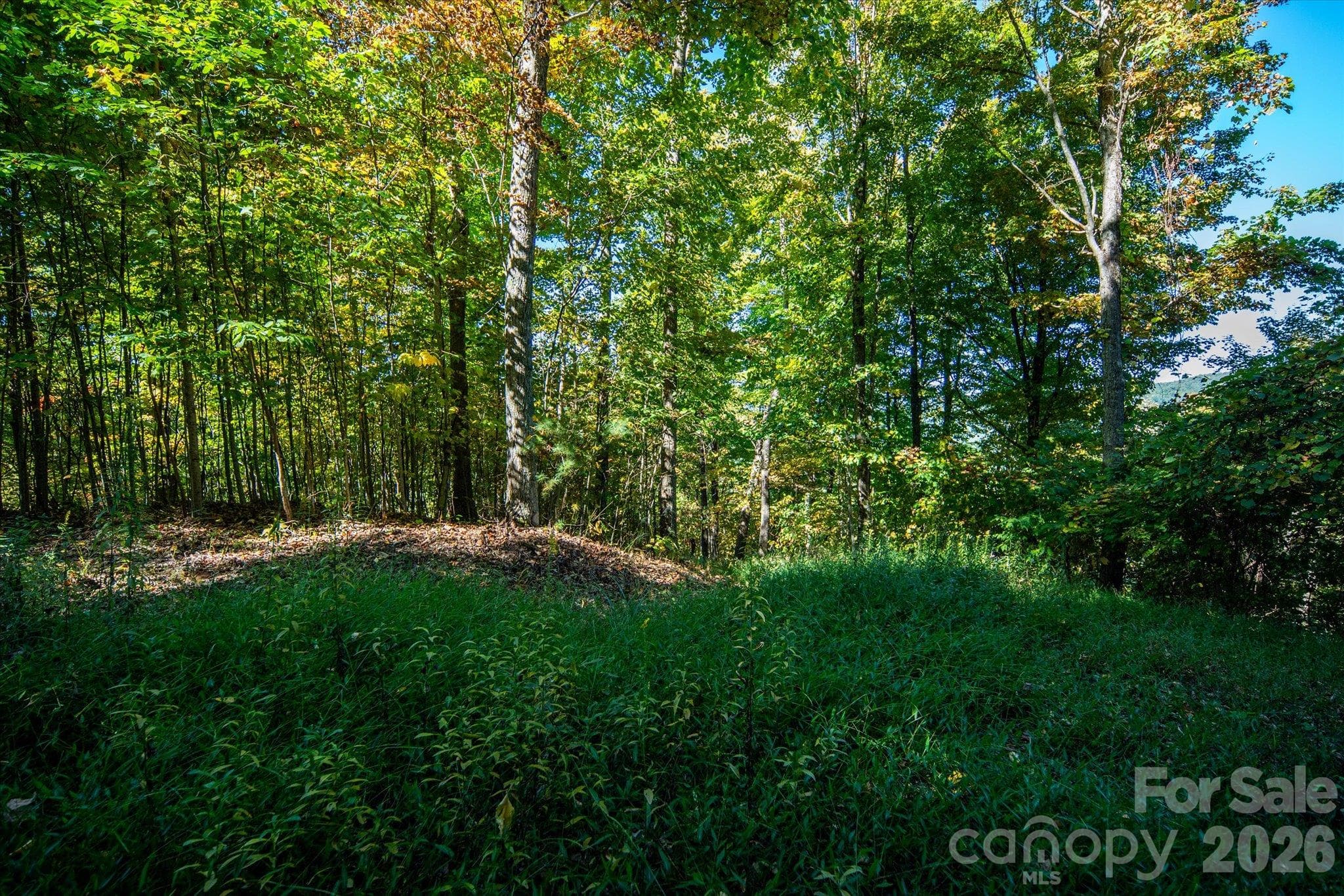 Acreage at TBD Big Laurel Road, Marshall, photo 9 of 22
