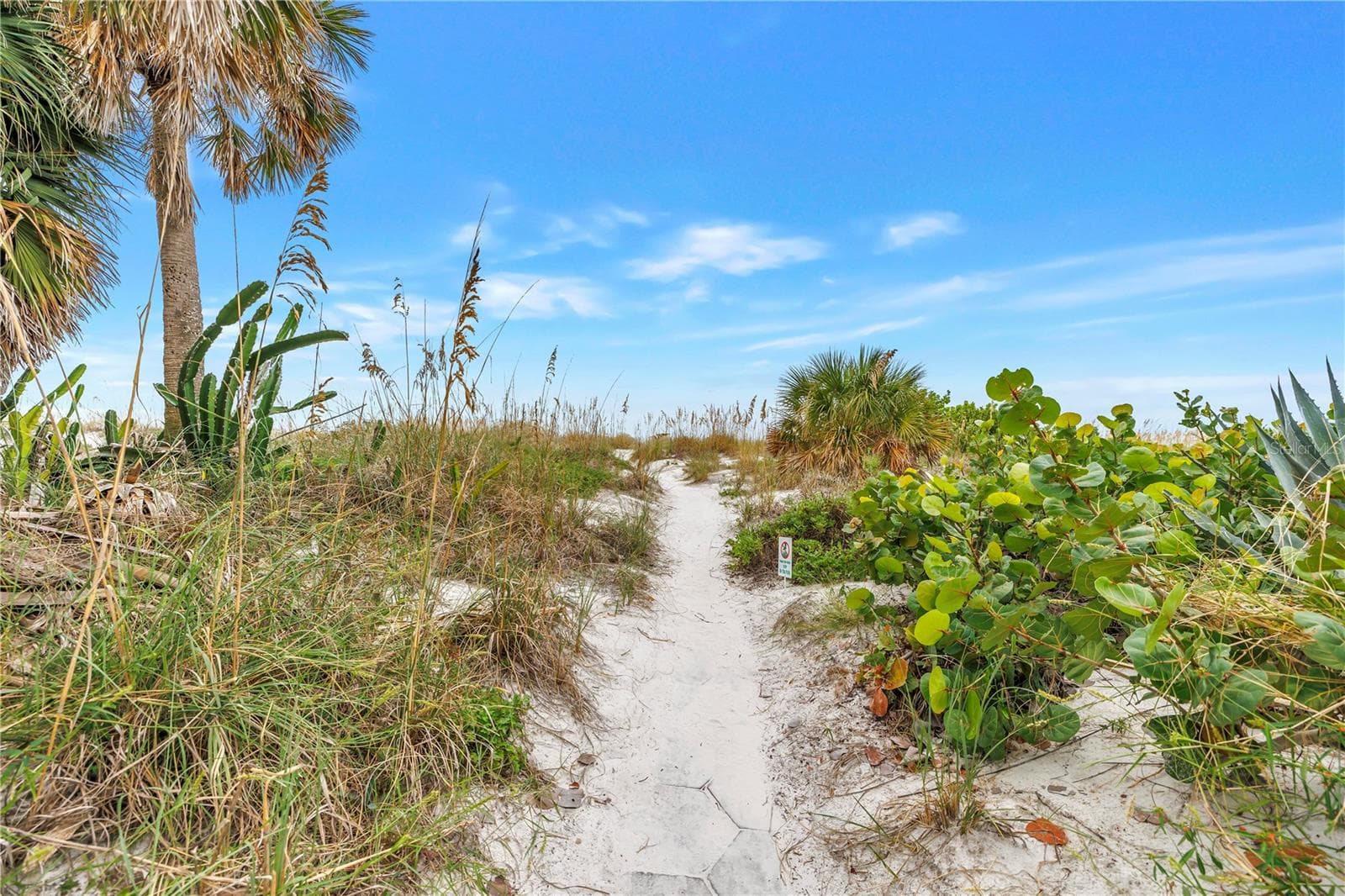 Condominium at 3575 GULF BLVD #103, ST PETE BEACH, photo 25 of 38