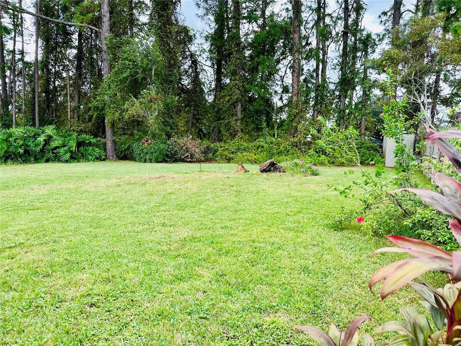 Single Family Residence at 26 PRINCESS RUTH LN, PALM COAST, photo 22 of 32