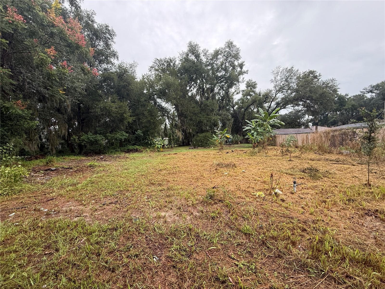 Yard - 817 SE PINE AVE, FORT MEADE