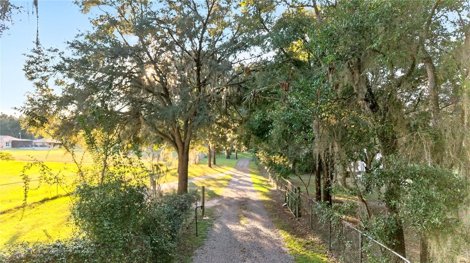 Driveway to Property - 6410 NE 25TH AVE, OCALA