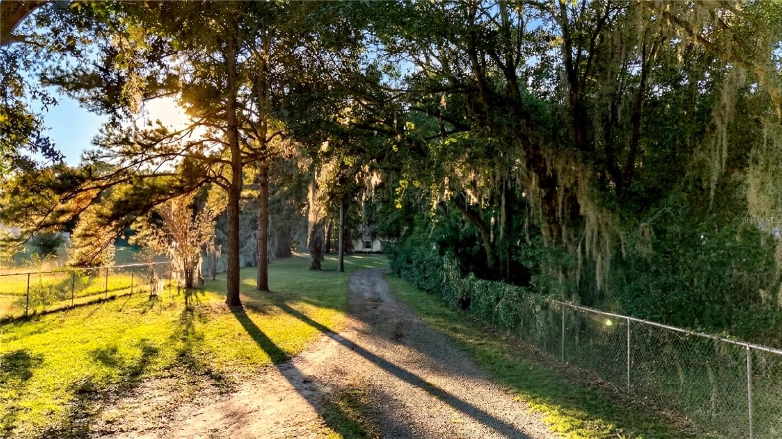 Driveway to Property - 6410 NE 25TH AVE, OCALA