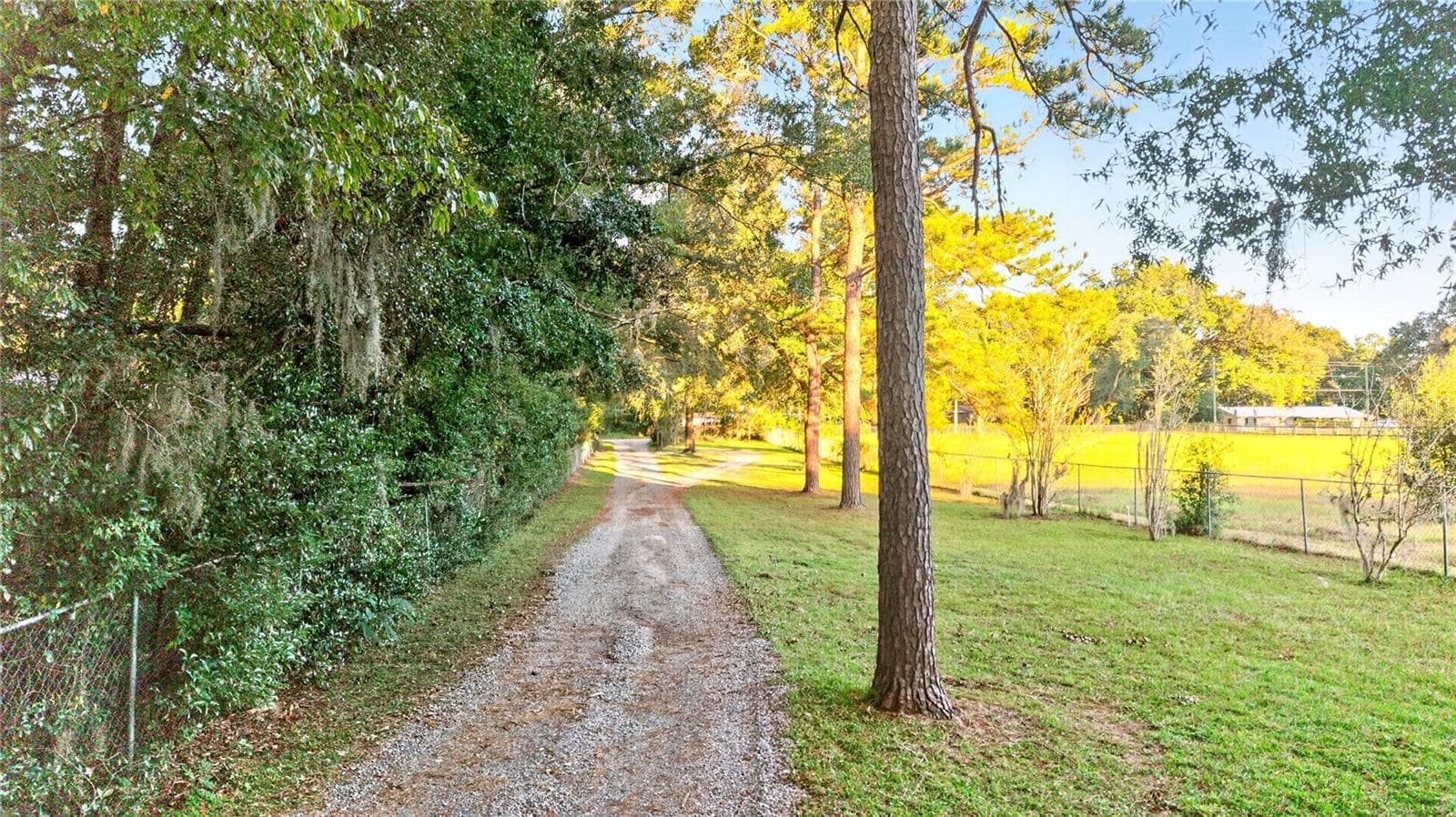 Driveway to Property - 6410 NE 25TH AVE, OCALA