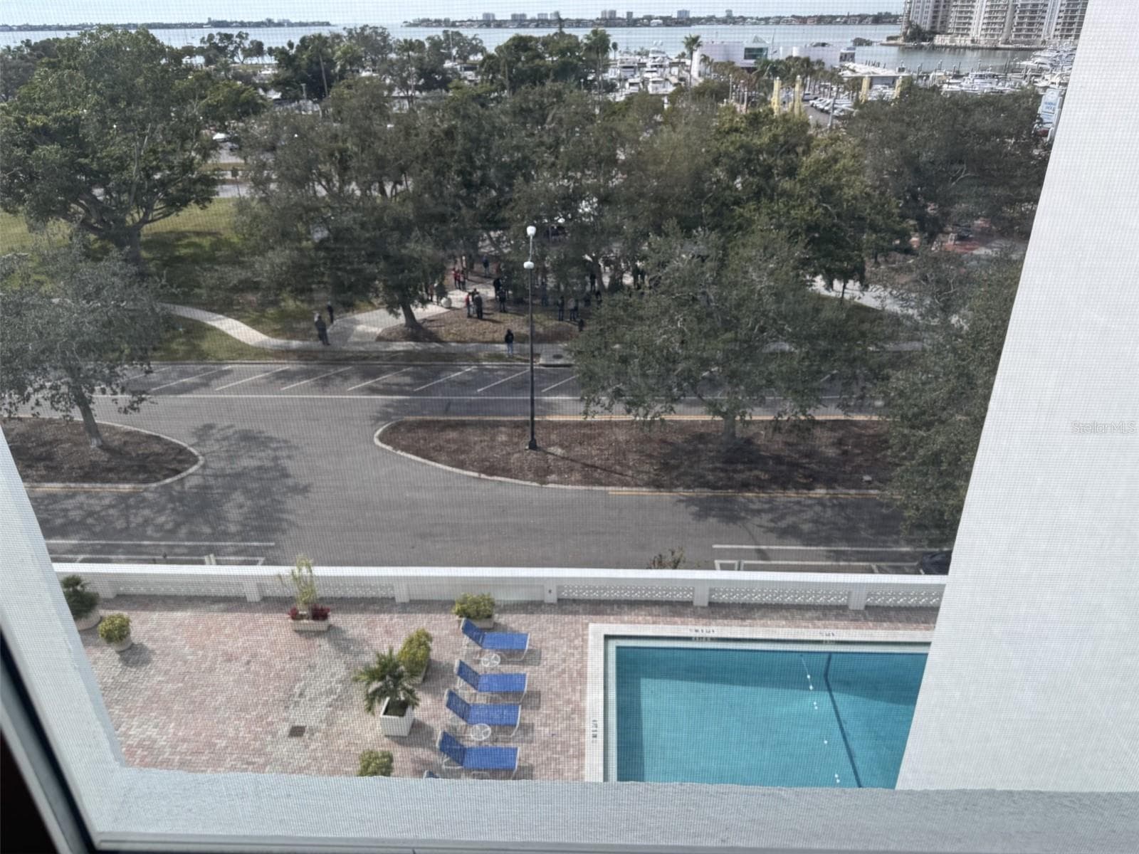 Pool & park from bed - 33 S GULFSTREAM AVE #702, SARASOTA