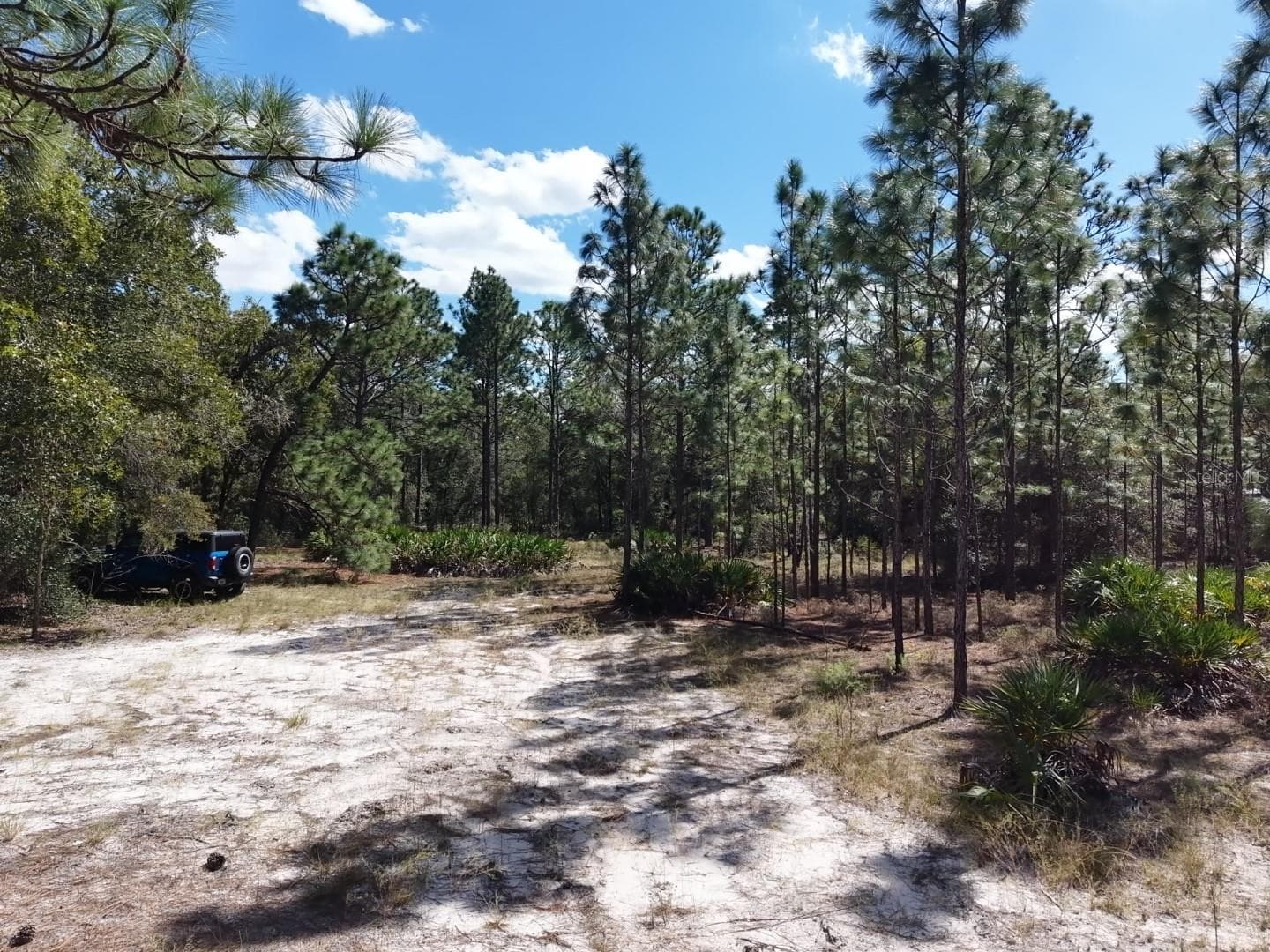 Land at 7416 N NATHAN PT, CRYSTAL RIVER, photo 4 of 78