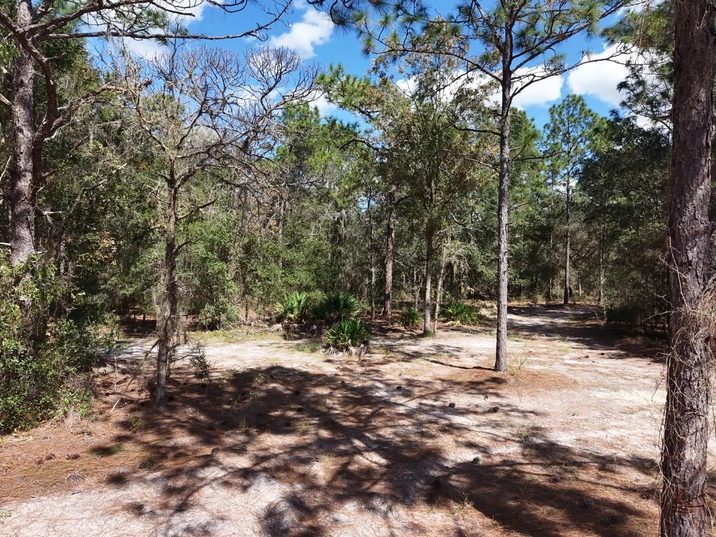 Land at 7416 N NATHAN PT, CRYSTAL RIVER, photo 5 of 78