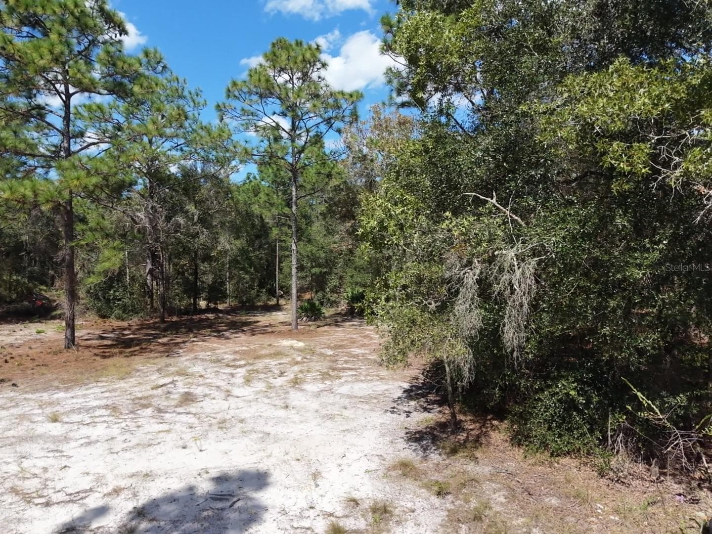 Land at 7416 N NATHAN PT, CRYSTAL RIVER, photo 6 of 78