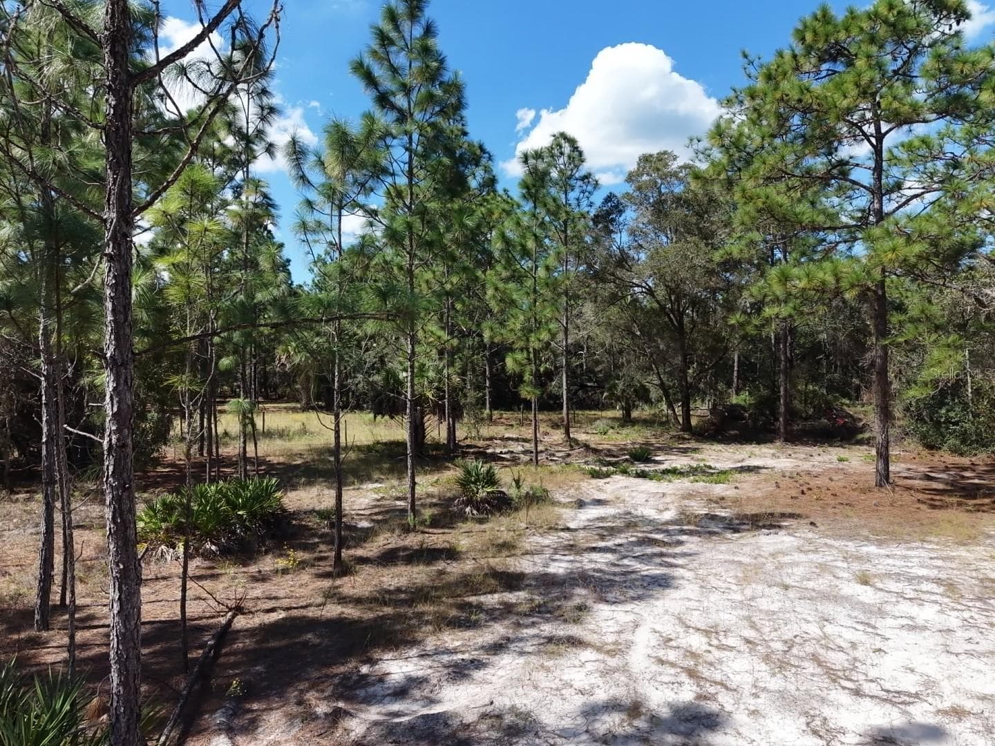 Land at 7416 N NATHAN PT, CRYSTAL RIVER, photo 7 of 78