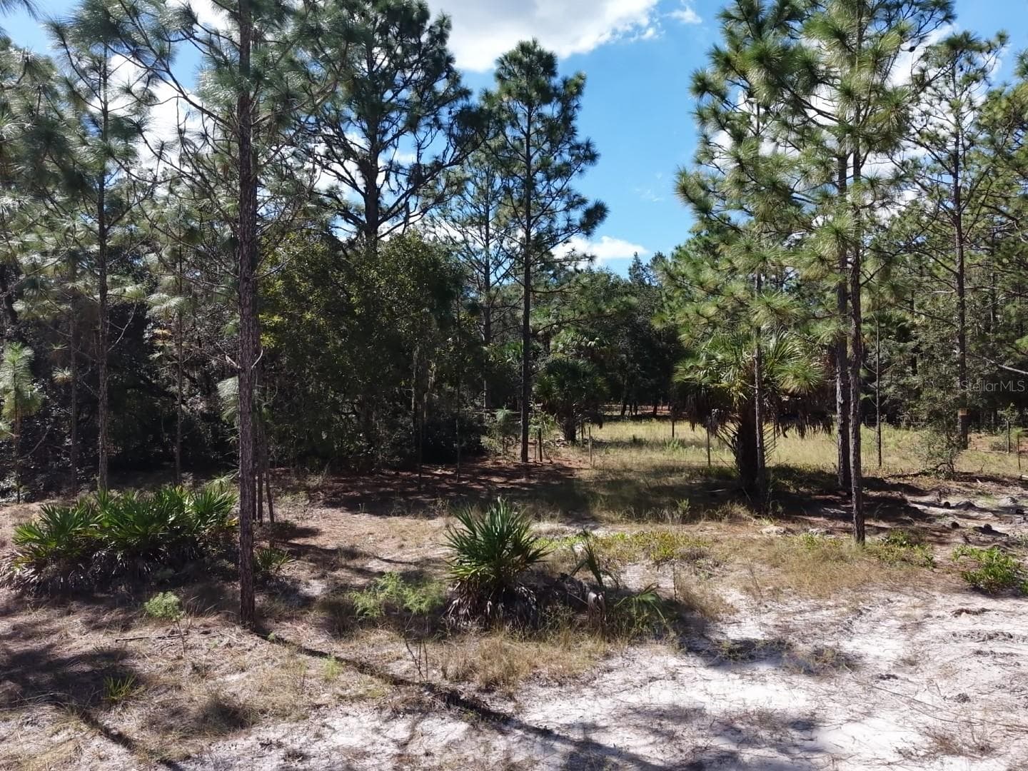 Land at 7416 N NATHAN PT, CRYSTAL RIVER, photo 8 of 78