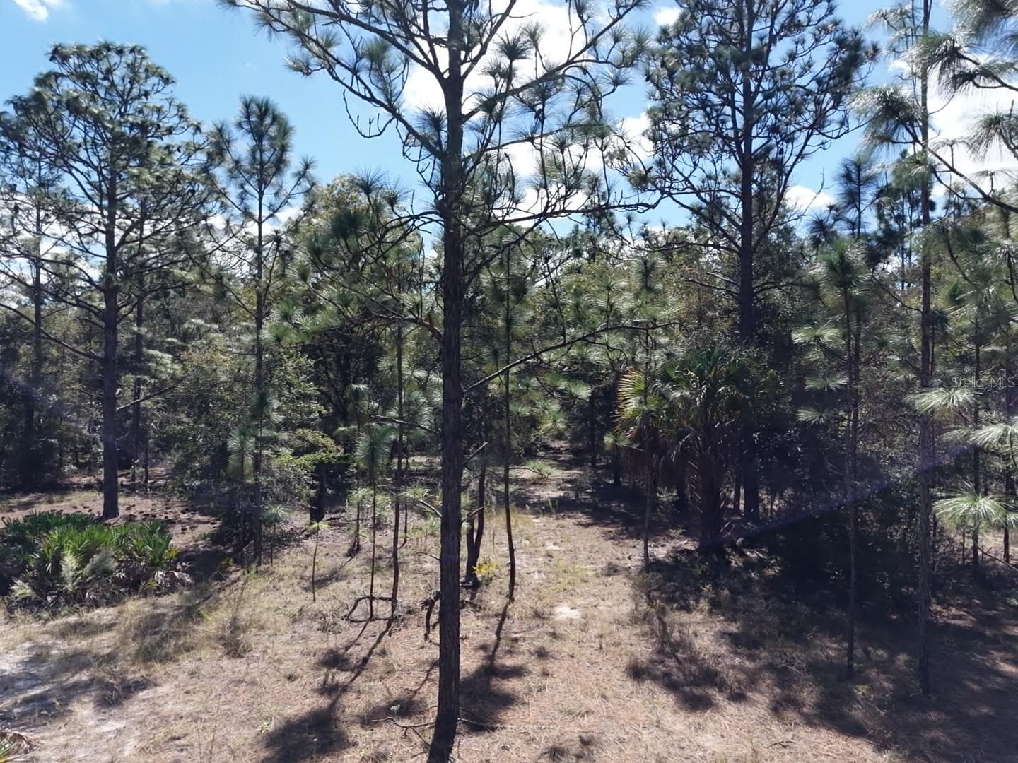 Land at 7416 N NATHAN PT, CRYSTAL RIVER, photo 9 of 78